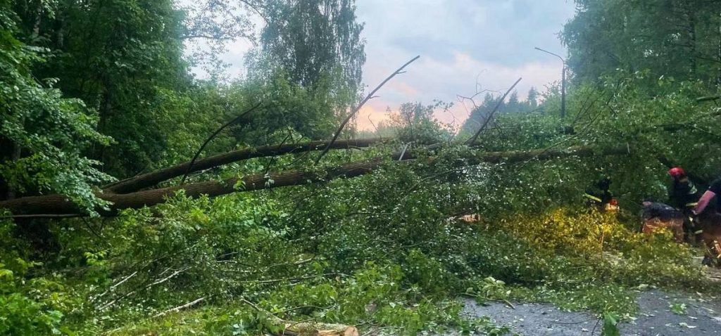 Дерево упало на девушку на Минском море