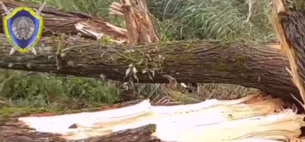 непогода, Вилейское водохранилище, упало дерево, СК