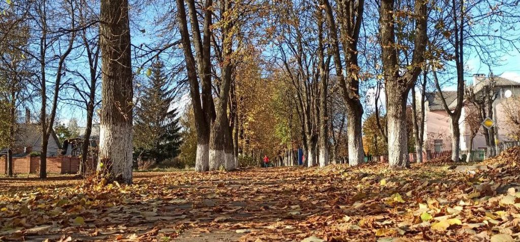 осень листья сквер погода Барановичи Baranavichy